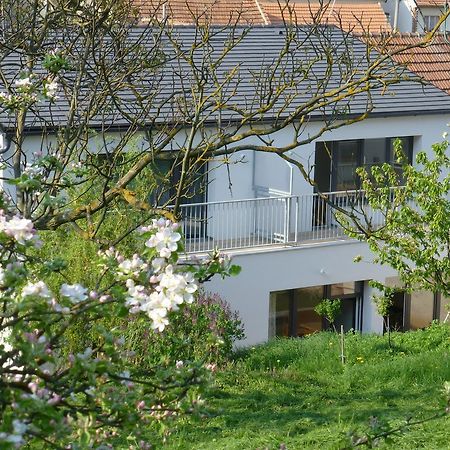 Pod Králičím vrchem Milovice (South Moravian) Exterior foto