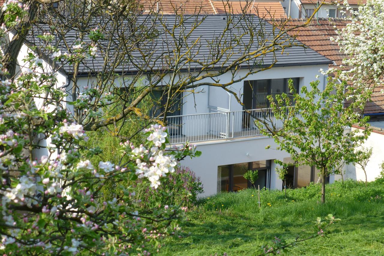 Pod Králičím vrchem Milovice (South Moravian) Exterior foto